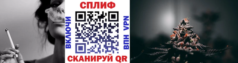 Какие есть наркотики Зверево Псилоцибиновые грибы  Codein  МАРИХУАНА  COCAIN  Меф 
