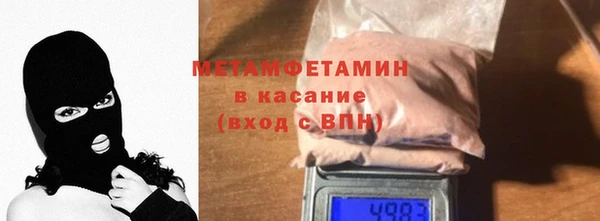 прущие грибы Волоколамск