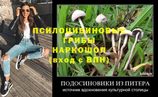 шишки Магадан