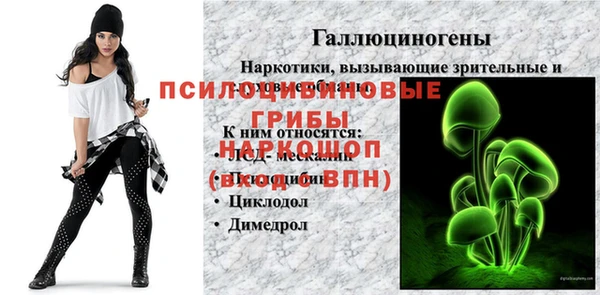 гидропоника Магас