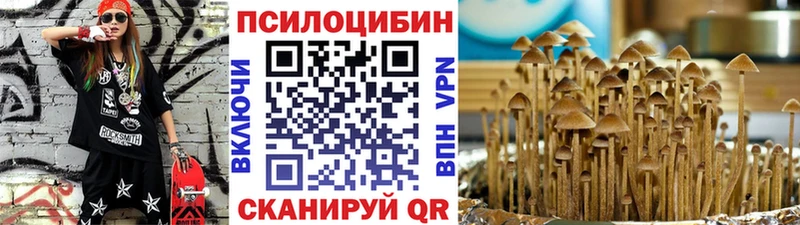 ОМГ ОМГ рабочий сайт  Зверево  Псилоцибиновые грибы прущие грибы 