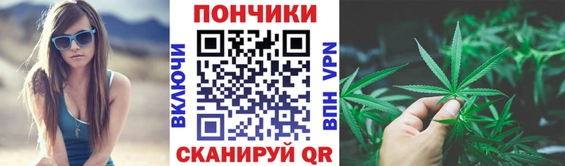 Шишки марихуана семена  купить  цена  Зверево 